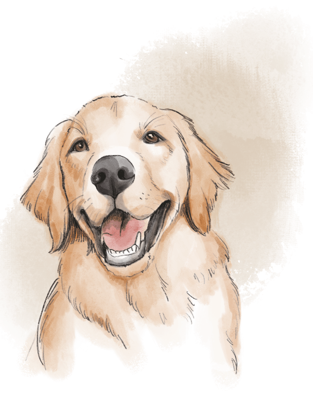 Ritratto di coppia in Line Art come esempio