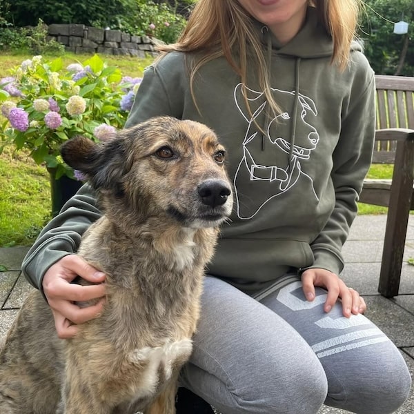 Bestickter Hoodie in Khaki mit einem echten Hund neben dem Hoodie, Post von @miroar_de